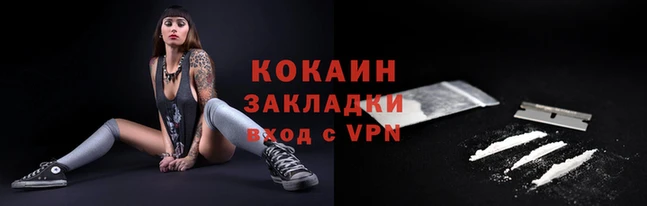 кокс Бородино