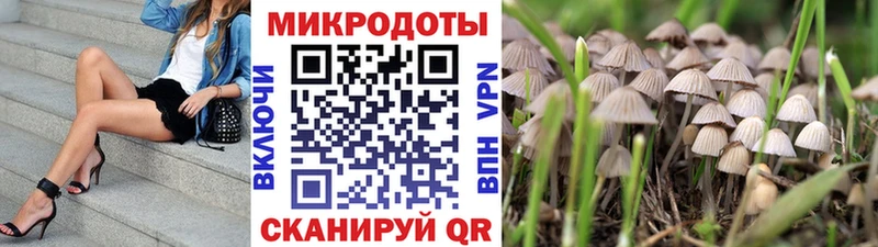 купить   ссылка на мегу ССЫЛКА  Псилоцибиновые грибы Magic Shrooms  Крым 